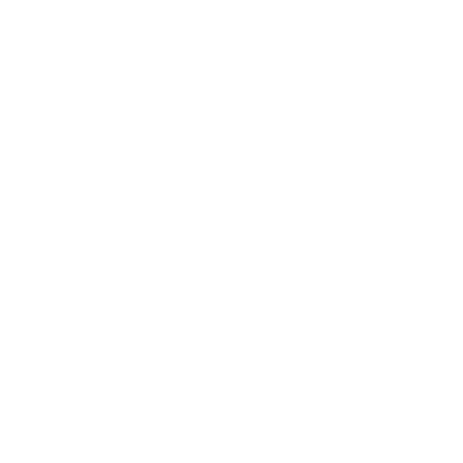icon1